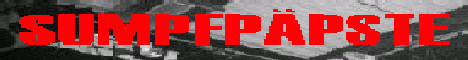 Sumpfp&auml;pste machen PunkRrock!!!